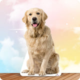 Custom Lifesize Dog Cutout - Large - Front