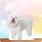 Custom Lifesize Dog Cutout - Small - Side