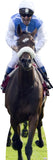 Horse Racing with Rider 620 Cardboard Cutout