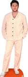 Niall Horan 438 Celebrity Cutout