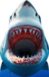 Shark Jaws 015 Cardboard Cutout