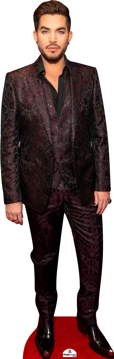 Adam Lambert 142 Celebrity Cutout