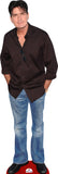 Charlie Sheen 219 Celebrity Cutout