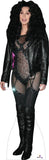 Cher 349 Cardboard Cutout