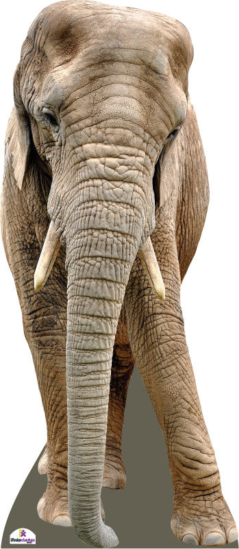 Elephant Cardboard Cutout Front On