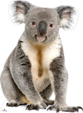 Koala Cardboard Cutout