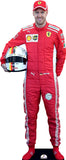 Sebastian Vettel 715 Celebrity Cutout